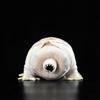 Tardigrade Plush Toy 12 Inch Realistic Water Bear Stuffed Animal for Science Lovers and Collectors