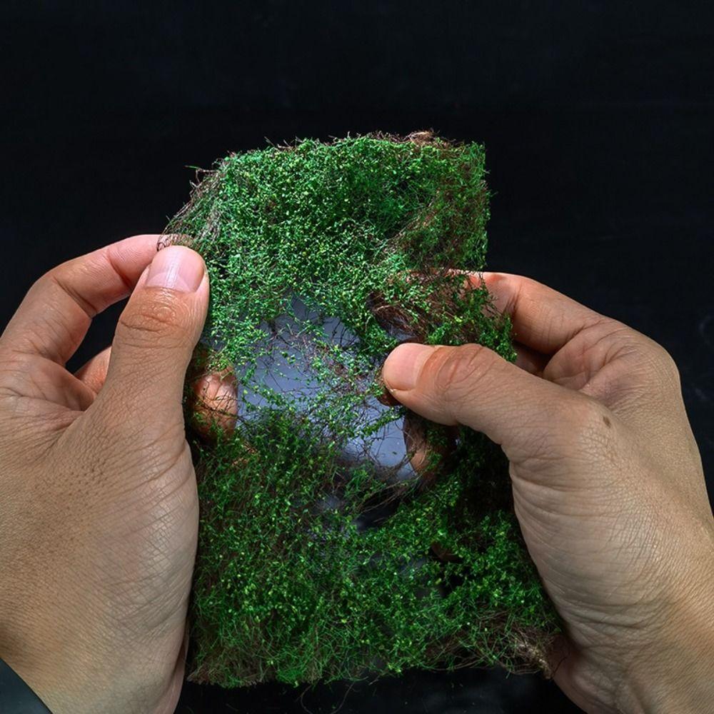 Vine Vegetation Simulation Miniature Vines Green Plant Landscape Vine Model Architecture Building