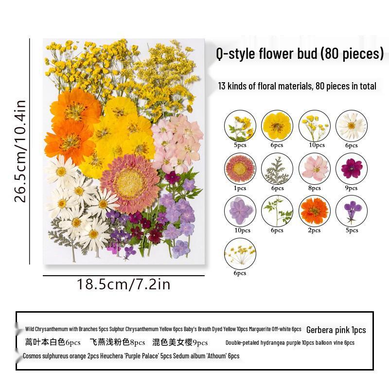 DIY Dried Flower Specimen Sticker Set for Kids: Handmade Pressed Flower Frames & Resin Bookmark Craft Kit