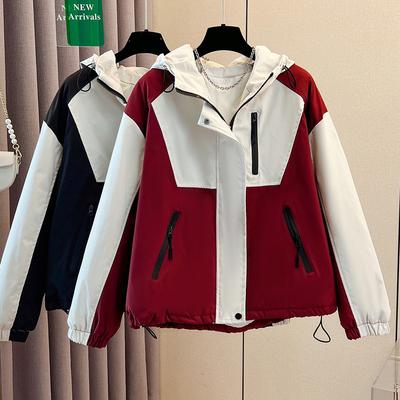 Women's Contrasting Jacket Autumn and Winter Loose Fried Street Sweet Cool High-end Design Padded Jacket