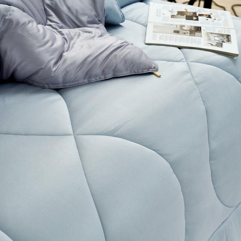 FUANNA All-Season Smart Warmth Quilt