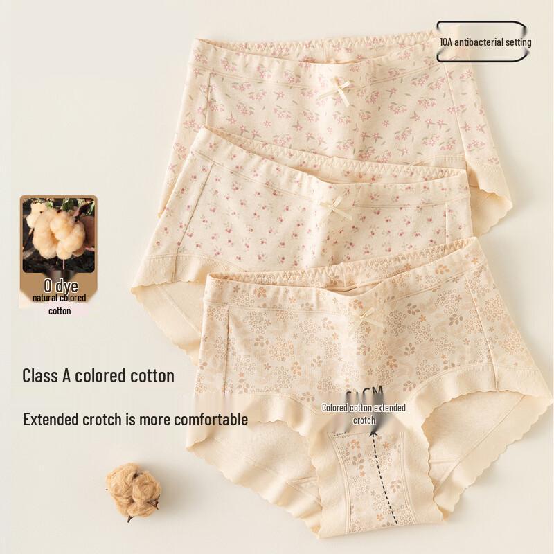 

DingGuagua Women s Cotton Antibacterial High-Waist Briefs 3-Pack XL