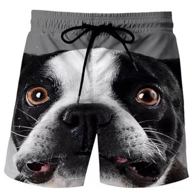 Men's Cute Dog 3D Printing Summer New Casual Vacation Beach Fun Animal Pattern Sports Shorts