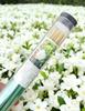 Hand-Rolled Rose, Jasmine & Osmanthus Incense Sticks - Natural, Handmade, and Scented for a Healthy Indoor Experience