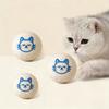 Wool Ball Cat Toy Soft Felt Cat Ball Interactive Enrichment Toy Quiet