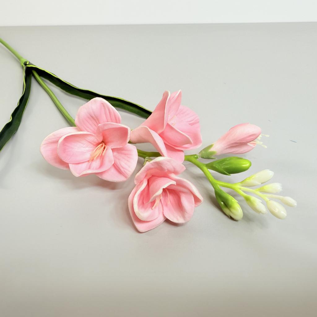 Tak - Schuimfreesia, lichtroze, 59 cm