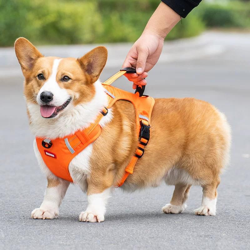 Anti-Escape Dog Harness with Leash, Vest-Style for All Dog Sizes