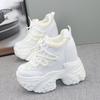 Fashion 12cm Hidden Heel Dad Shoes Women Thick Sole Casual Breathable Mesh Block Heel 10cm White Sneakers