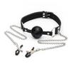Metal Nipple Clamps & Ball Gag Set for Erotic Oral Slave Training