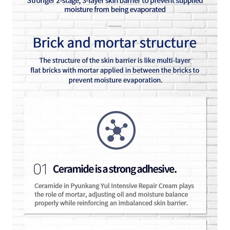 Pyunkang Yul - Intensive Repair Cream