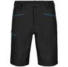 Шорты Ortovox Men's Pelmo Shorts (62257) raven 2 черный
