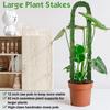 1pc Bendable Moss Pole for Plants Monstera Moss Poles for Climbing Plants  Plant Stakes for Indoor, Monstera Plant Support