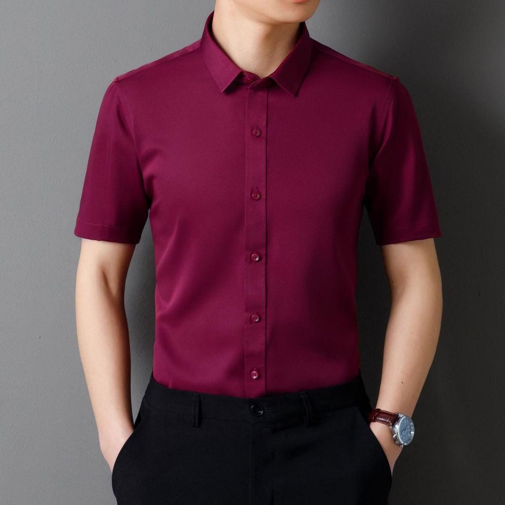 Men's 2025 Non-Iron Plus Size White Korean Style Business Casual Slim Fit Long Sleeve Shirt