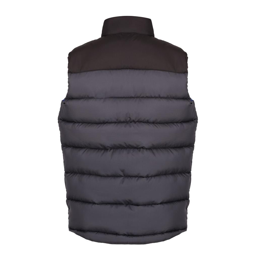 Regatta Professional Mens Colour Block Gilet