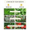 50W Phyto Lamp Full Spectrum for Greenhouse Hydroponic Plants Growing Lamp Standing for Seedlings LED Grow Light