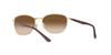 Sunglasses RB3702 900951 BROWN ON ARISTA 57 [Ray-Ban]
