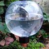 500ML Automatic Plant Watering Bulbs Self Watering Globes Drip Irrigation System Garden Flower Plants Watering Balls Device