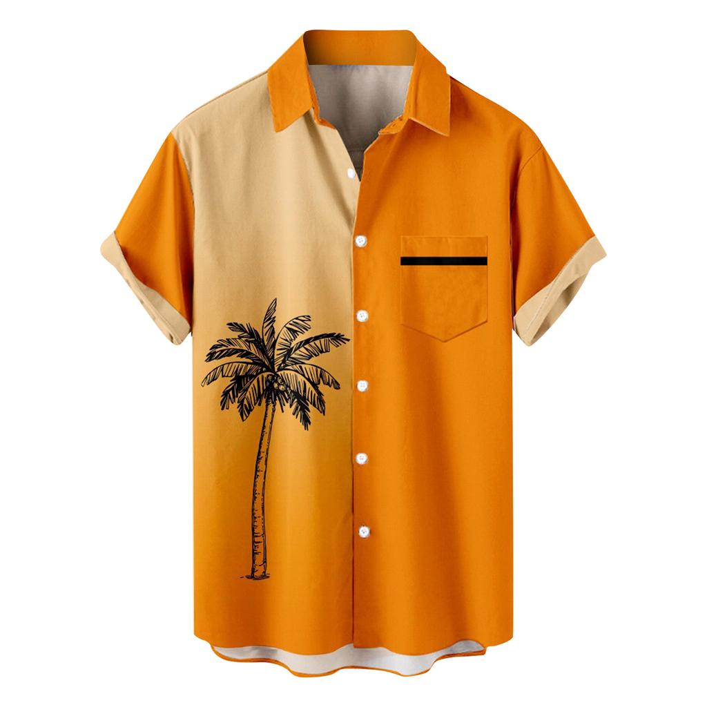 Pánská móda Etnické tričko s krátkým rukávem ležérní potisk havajské košile halenka