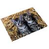 Desk Pad - LAUFER - Cats In the Straw - 400 X 530 Mm - Non-slip - Washable