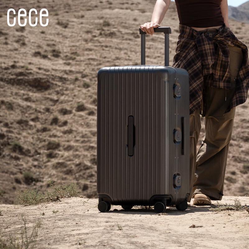 Cece PC Hardside Spinner Luggage with Aluminum Frame and TSA Lock 20-inch (Carry-on)