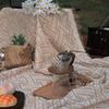 Outdoor Picnic Blanket with Fringe Cotton Soft Comfortable Simple Style for Camping Beach 180x130