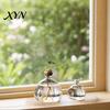 Pflanzenhalter aus Glas Hydroponik-Pflanzen Vase, Transparentes Vermehrungsterrarium, Schreibtisch Dekorative Klare Topf Pflanzgefäß für Zuhause Büro Tischmittelstück