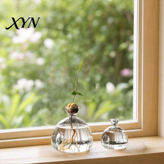 Pflanzenhalter aus Glas Hydroponik-Pflanzen Vase, Transparentes Vermehrungsterrarium, Schreibtisch Dekorative Klare Topf Pflanzgefäß für Zuhause Büro Tischmittelstück