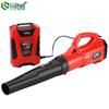 Lichen 36V Cordless Lithium-Ion Backpack Blower CN Plug (adapter Included)