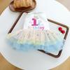 Pet Birthday Dress With Rainbow Gradient Star Mesh Crown Tutu Teddy Bichon Outfit