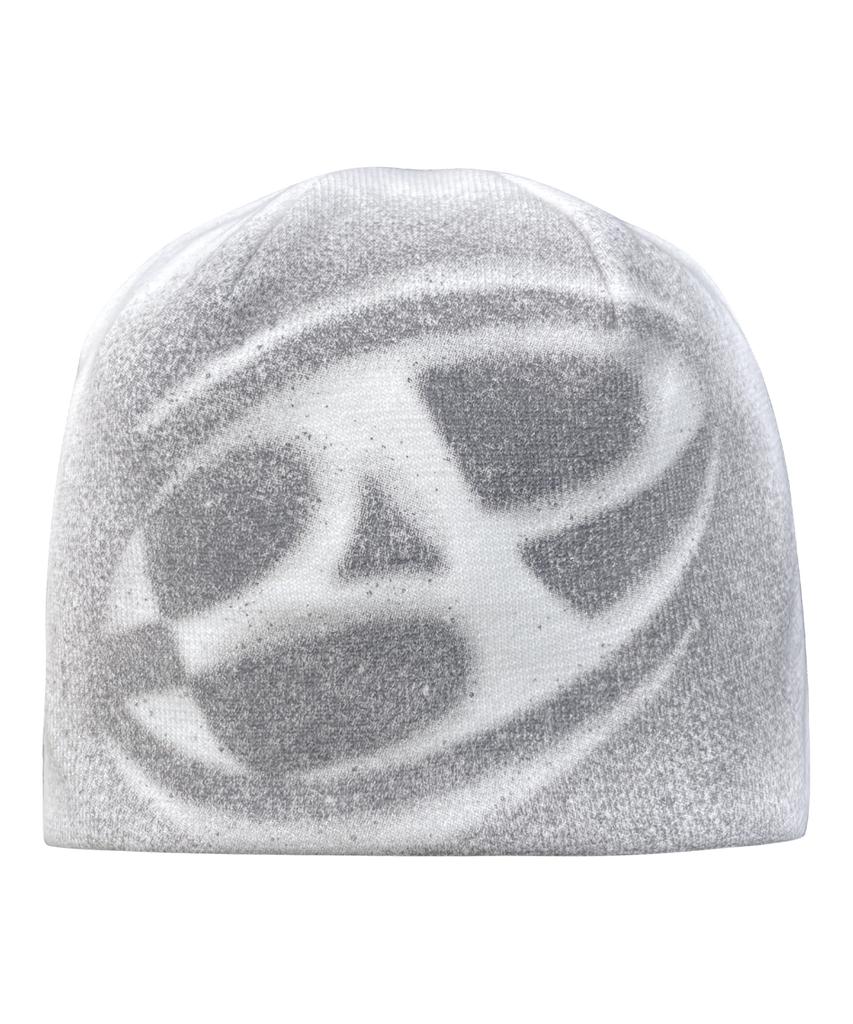 Bipitudiseuodeo Big Logo Spray Beanie White Gray
