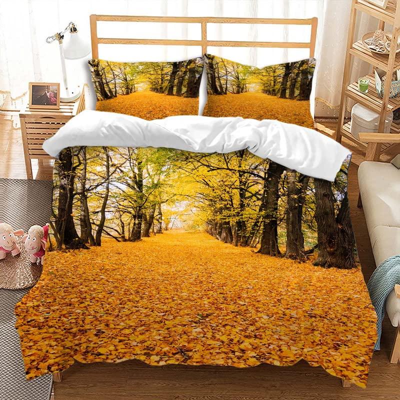 Pathway Duvet Cover Sets For Teens Adults Queen Quilt Covers Lightweight Down Bedroom Decor 2 Pillowcases 1 Duvet Cover No Quilt