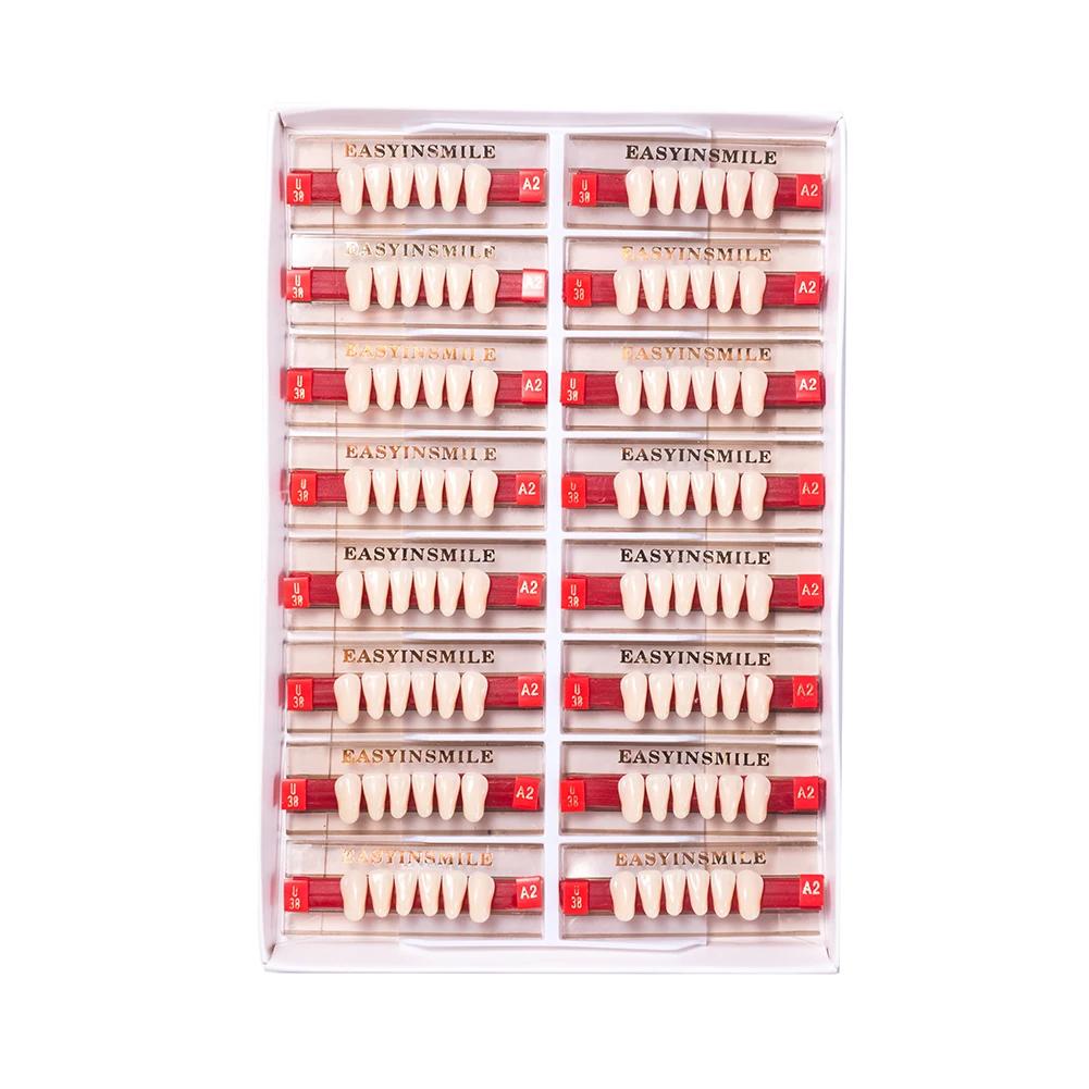 16/12 Sätze/Karton Zahnprothese Zähne Oberkiefer Frontzähne Unterkiefer Seitenzähne Dentier Synthetisches Polymerzähne Zahnmedizinische Ausbildungsmodell