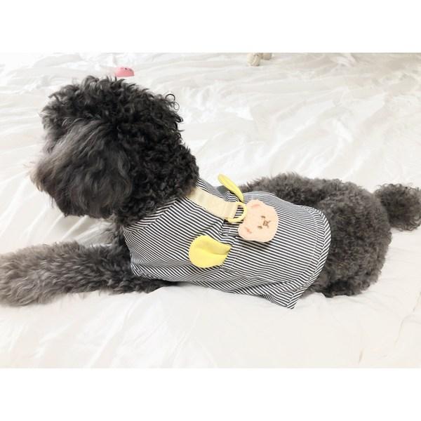 Schmelzender Look Hunde Geschirr Kleidung Frühling Sommer Katze Hund Weste, Schwarzer Streifen, 1 Stück