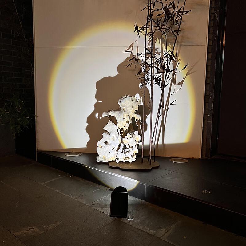 Solar Garden Spotlight