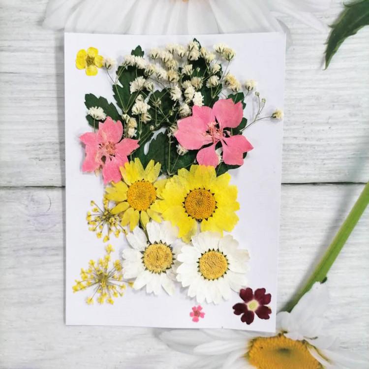 Pressed Dried Flower DIY Kit: Bookmark, Resin, & Phone Case Embossing Materials