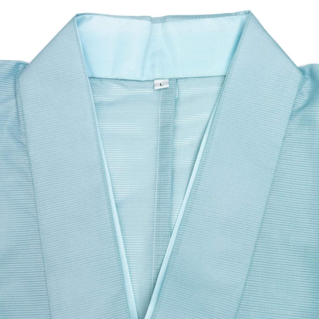 Washable Sky [KYOETSU] 2-piece kimono, Koma-ro, Silk, Women's (L, Blue)