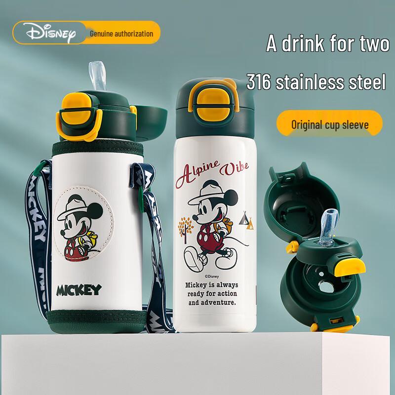 Disney Kids 316 Stainless Steel Insulated Water Bottle