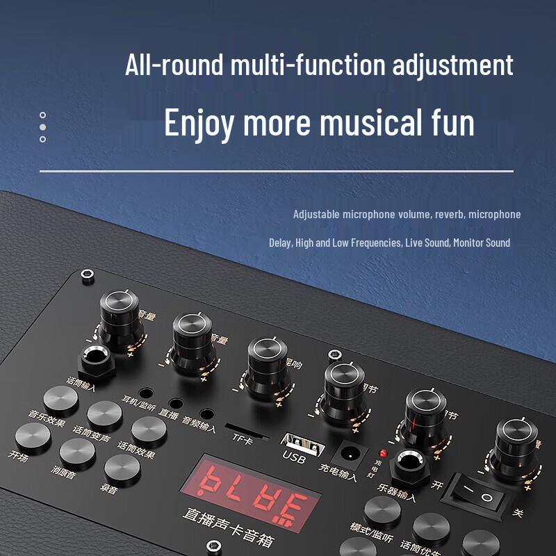 SANSUI E13 Portable KTV Bluetooth Speaker System