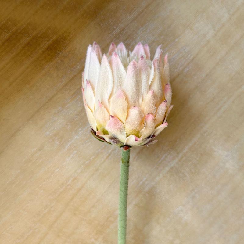 Стебель искусственного цветка Королевская протея, Nordic Thistle Display, Декор для дома и свадьбы