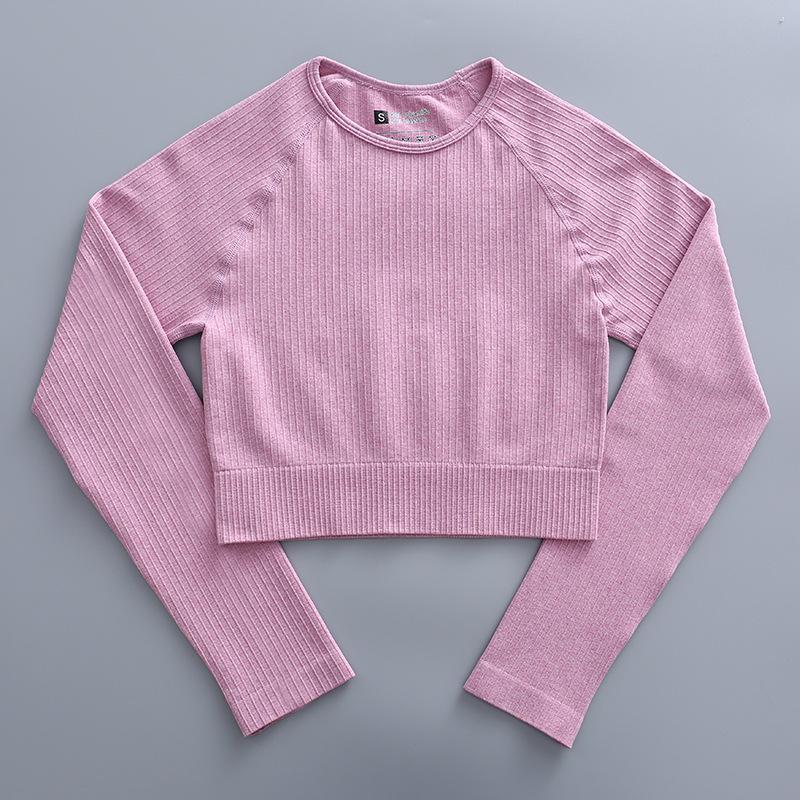 Women's Seamless Long Sleeve Yoga & Fitness Set