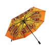 Aurora Dream Space Silk Scarf and Art Umbrella Set