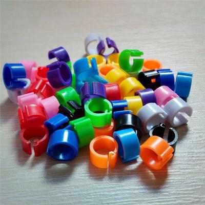Păsări – Produse pentru păsări