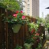 Outdoor Anti-Corrosion Bamboo Fence and Partition Screen