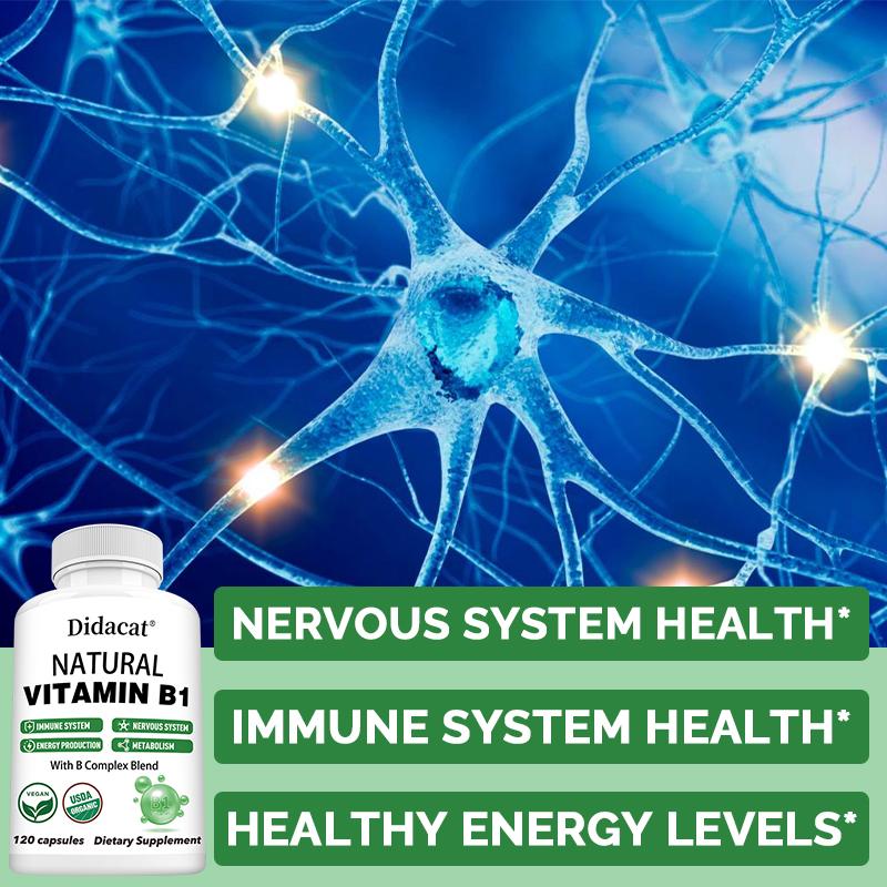 Vitamin B1 Supplement for Nervous System Health, 120 Capsules