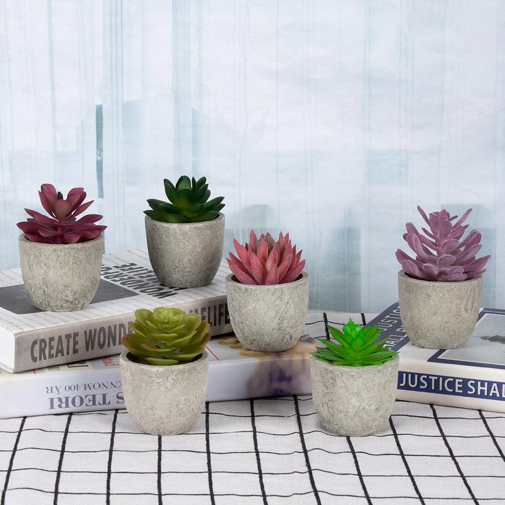 

24Pcs Cactaceae Simulation Succulents Mini Bonsai Fake Plant Desktop Decor Type A