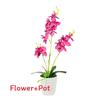 Phalaenopsis Potted Plant Ornament For Office Desk And Living Room Decor