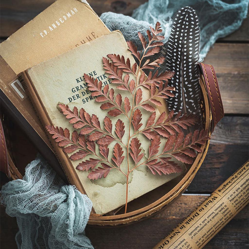 Aufbewahrungskorb aus Rattan mit Ledergriff Parfüm-Tragekorb Gewebtes Aufbewahrungstablett