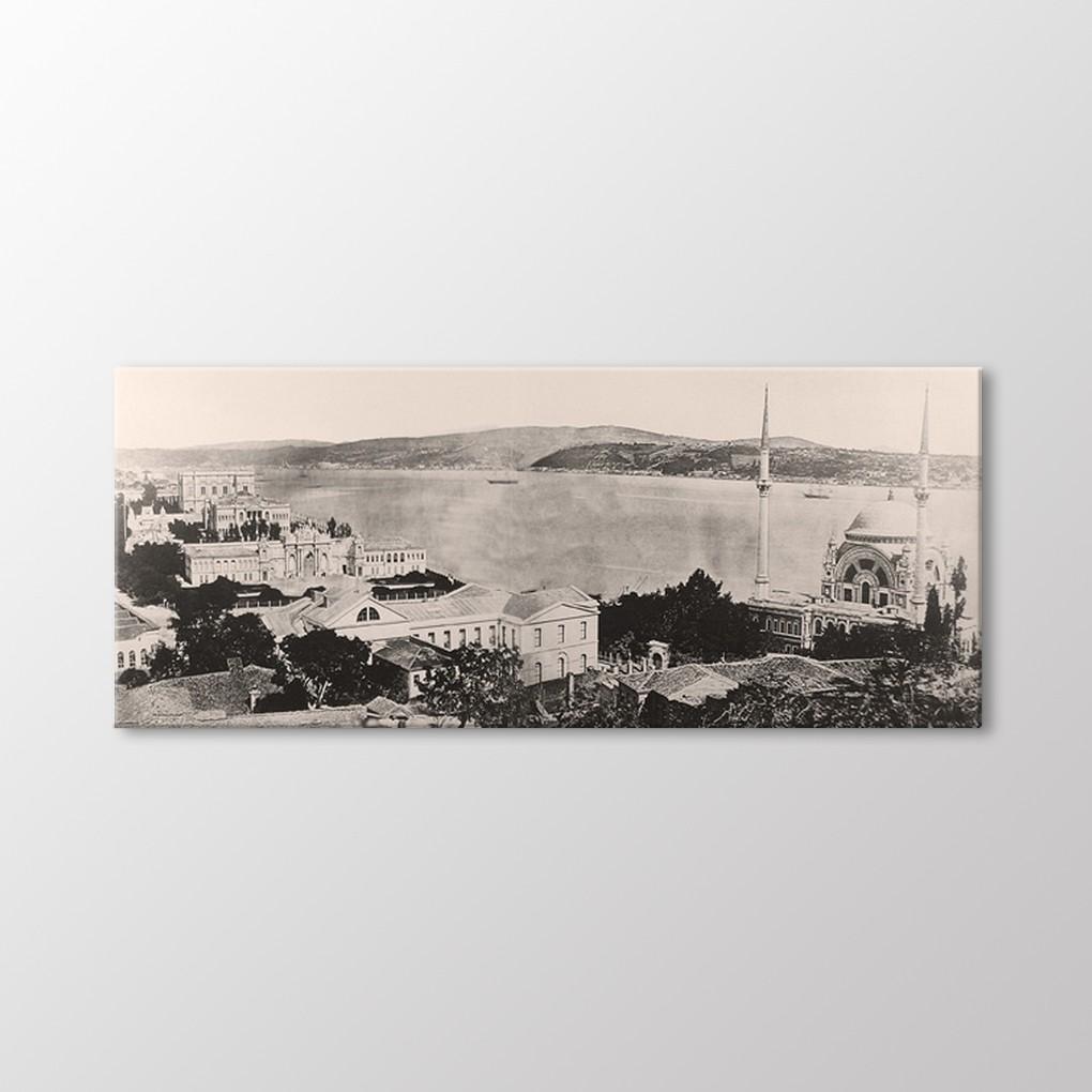 

Дворец и театр Долмабахче, 1863 г. Живопись