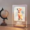 Custom Unique Furbaby Art Decor Personalized Animal Token Gift For Home Office Console Porch Nook For Pet Fan Furry Friend Lover