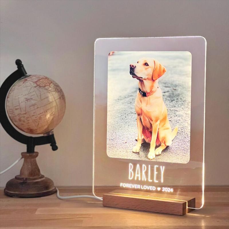 Custom Unique Furbaby Art Decor Personalized Animal Token Gift For Home Office Console Porch Nook For Pet Fan Furry Friend Lover